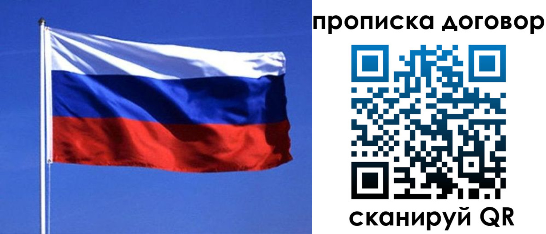прописка поиск в Домодедово